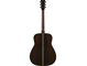 FG9 R back