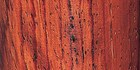 Rosewood