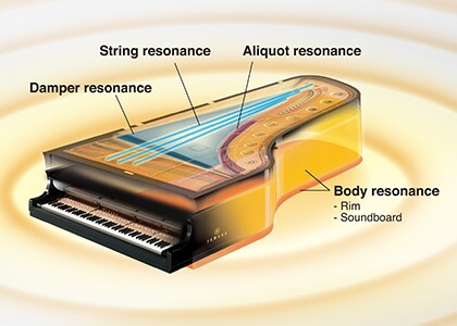 Piano　Part2 Yamaha Grand Piano (908) | Eshelby Pianos