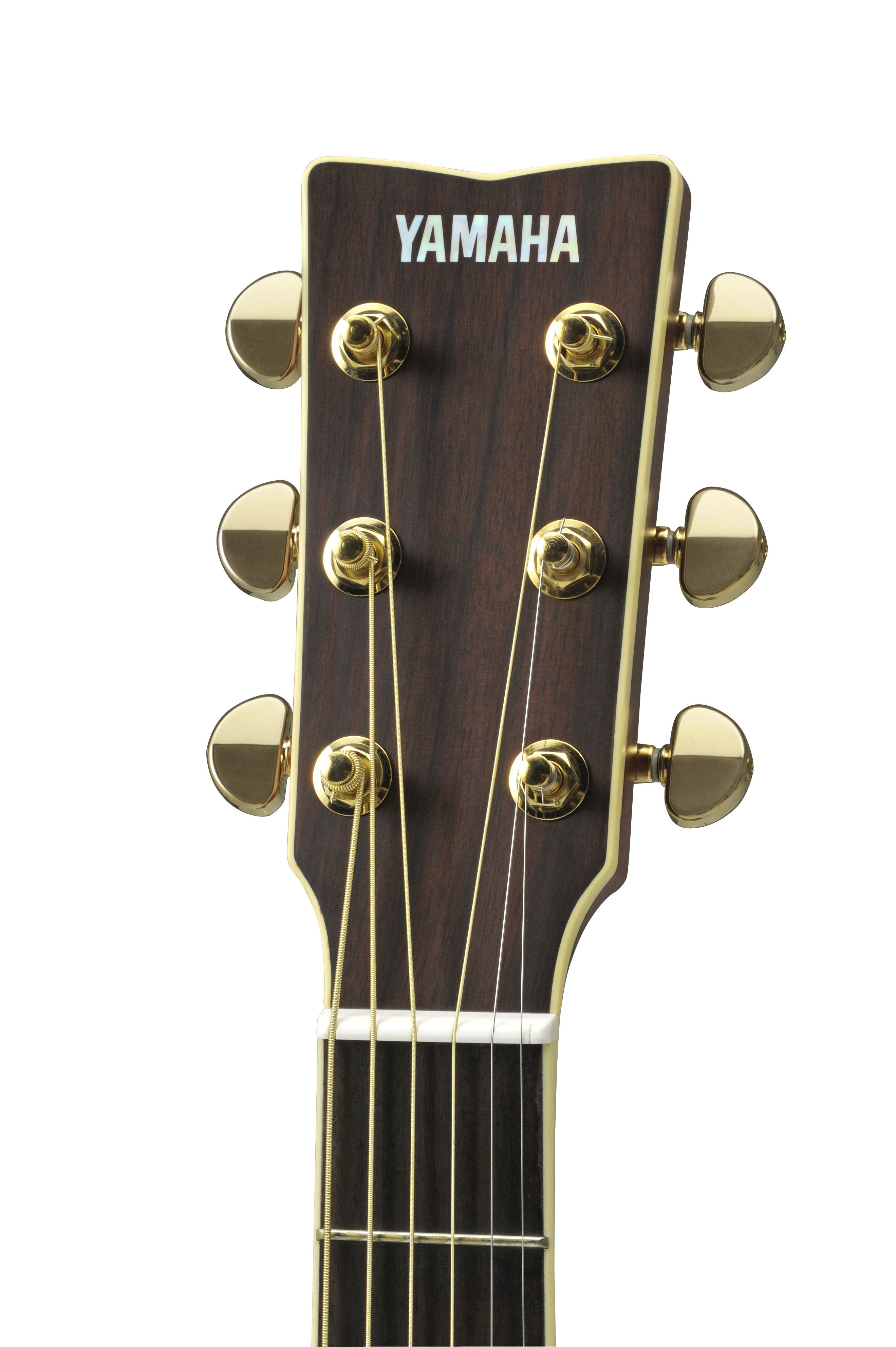L Series - LJ Series - Acoustic Guitars - Guitars, Basses & Amps
