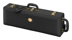 Case (SSC-820)