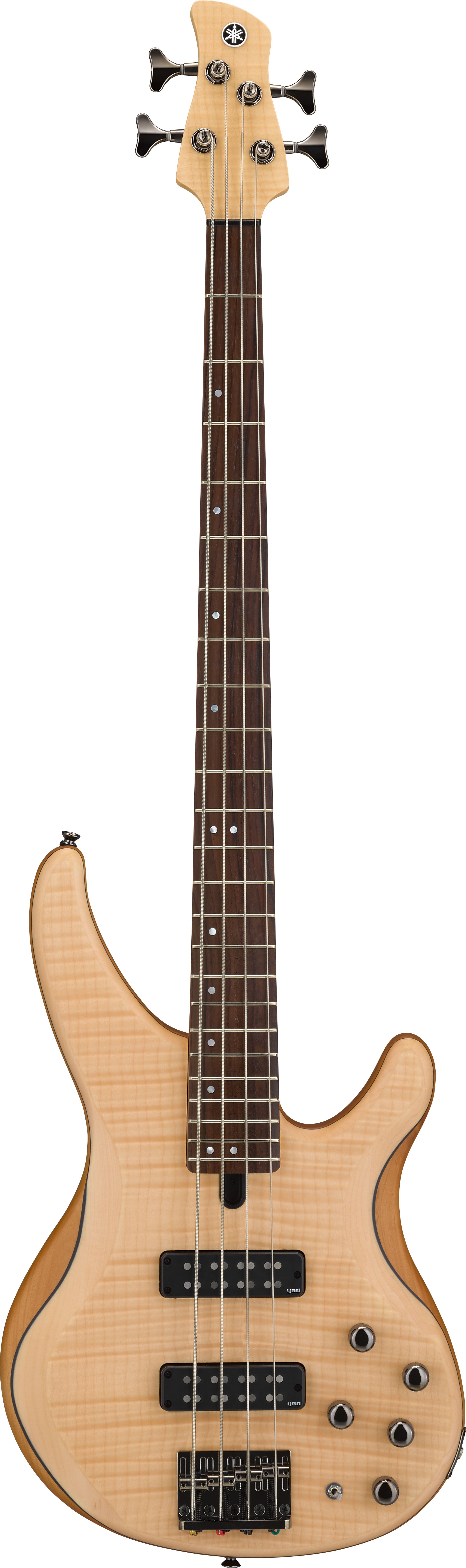 aria pro ii stratocaster