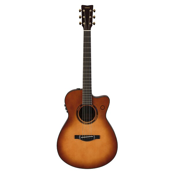 TST611 トレッカージャパン Digital Piano TORCH T01 and TransAcoustic™ Guitar TAG 3C/TAS 3C