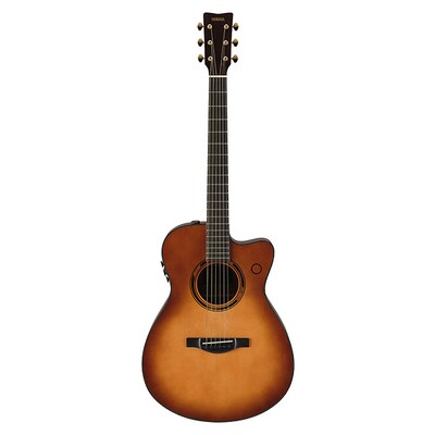TransAcoustic guitar TAS3 C SDB