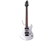 RGX121Z FSL:Flat Silver