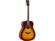 FG-TA Brown Sunburst Left Front