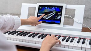 NP-32/12 - Overview - Portable Keyboards - Products - Keyboard