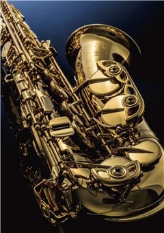 Saxophones - Brass & Woodwinds - Musical Instruments - Products - Yamaha -  Other European Countries