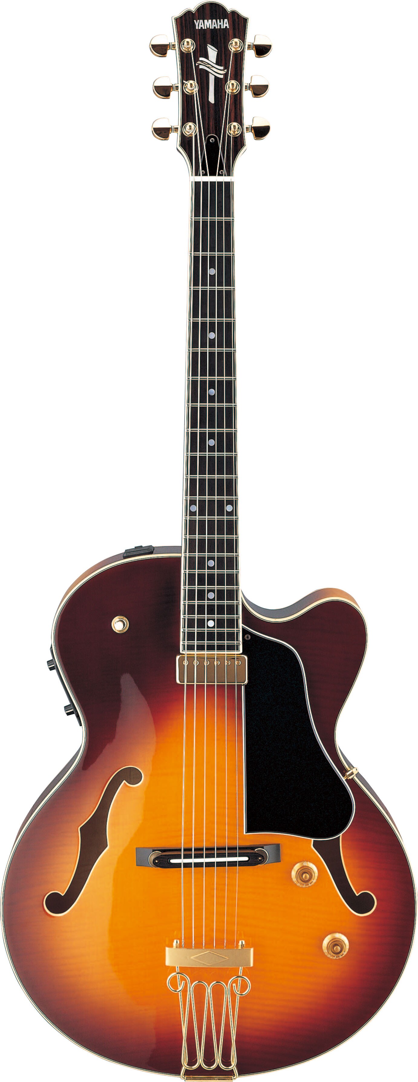 AEX1500 - Overview - Electric Guitars - Products - Guitars