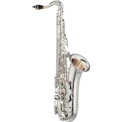 Yamaha Saxophone YTS-875EXS