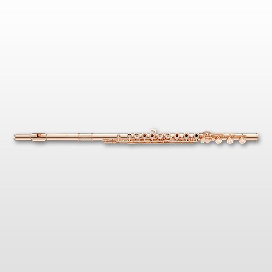 900/800 Series - Overview - Flutes - Products - Brass & Woodwinds
