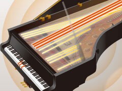 CLP-575 - Overview - Clavinova - Products - Pianos - Musical