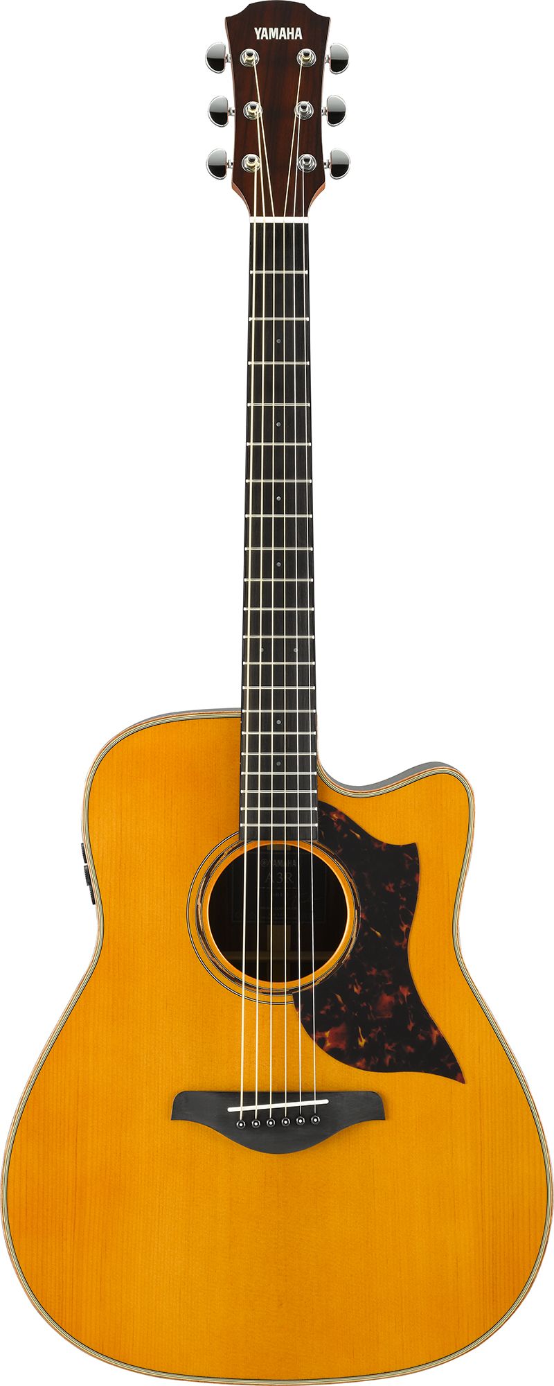 sweetwater yamaha acoustic