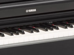 YDP-163 - Overview - ARIUS - Products - Pianos - Musical