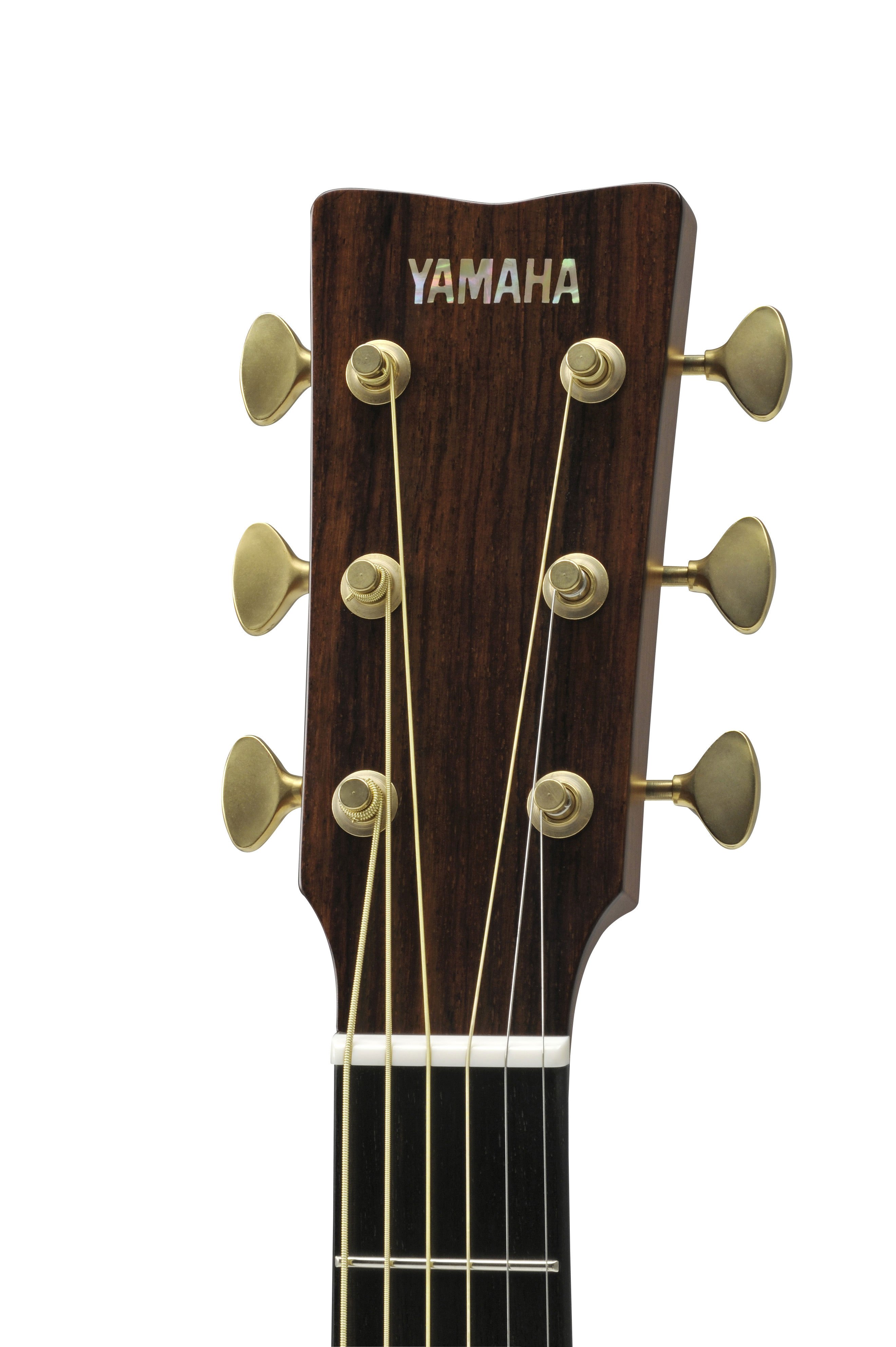 L Series - LS Series - Acoustic Guitars - Guitars, Basses & Amps 