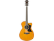 AC1R Vintage Natural Straight Front