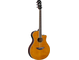 APX600FM AMBER Left Front