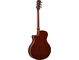 APX600 NATURAL Left Back