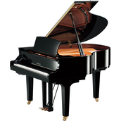 Yamaha C1X SH3