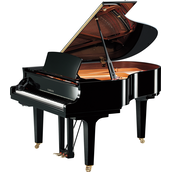 Yamaha C2X SH3