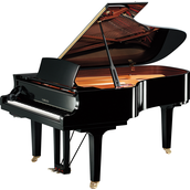 Yamaha C6X SH3