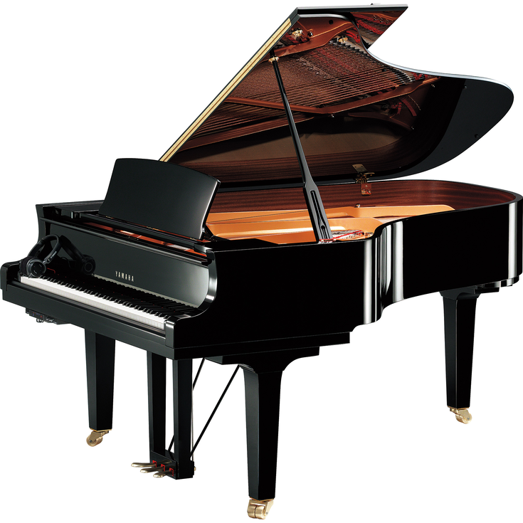 Yamaha C6X SH3
