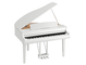 CSP-295GP_Polished White_angle