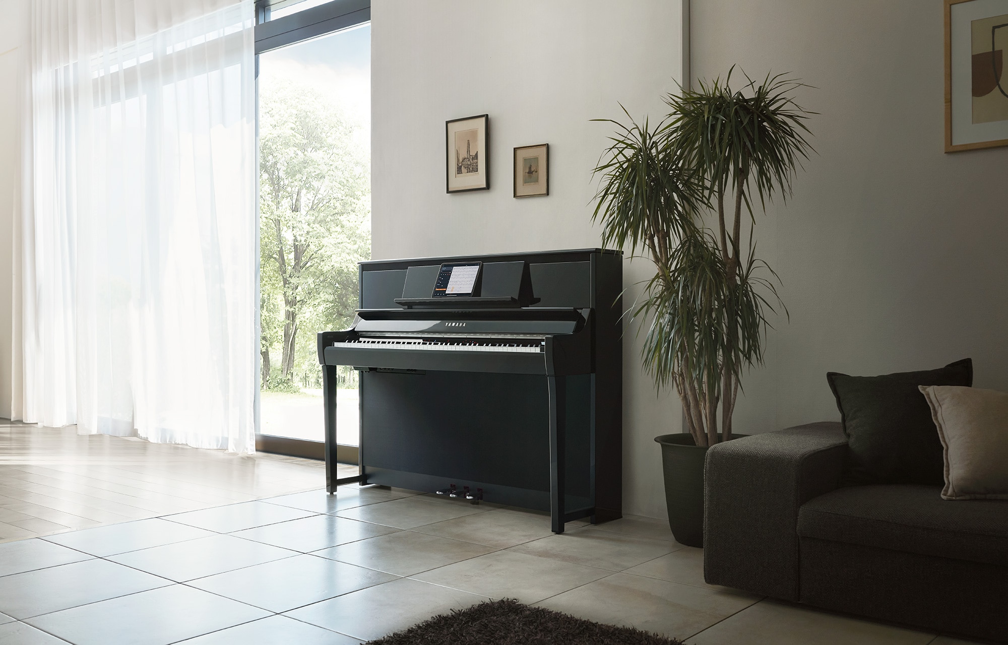 CSP-295 Polished Ebony