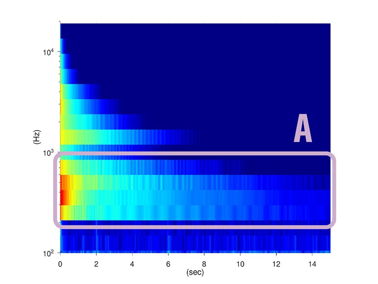 Acoustic characteristics when using SECW washers. Increased low-frequency volume and sustain