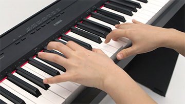 P-115 - Overview - P Series - Pianos - Musical Instruments 