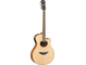 APX700II Natural Left Front