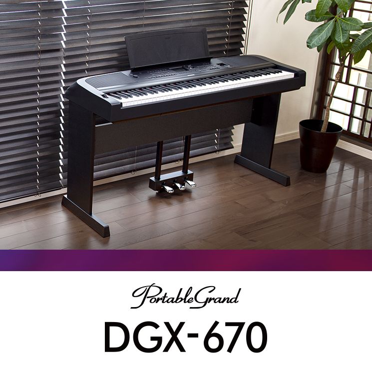 dgx 670