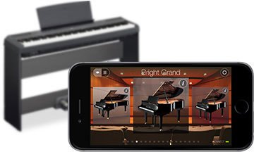 P-115 - Overview - P Series - Pianos - Musical Instruments 