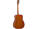 FG-TA Brown Sunburst Straight Front
