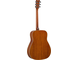 FG-TA Vintage Tint Left Back