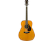 FG5 with gloss finish straight front