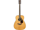 Product image of the FG800J with Natural color taken from the front