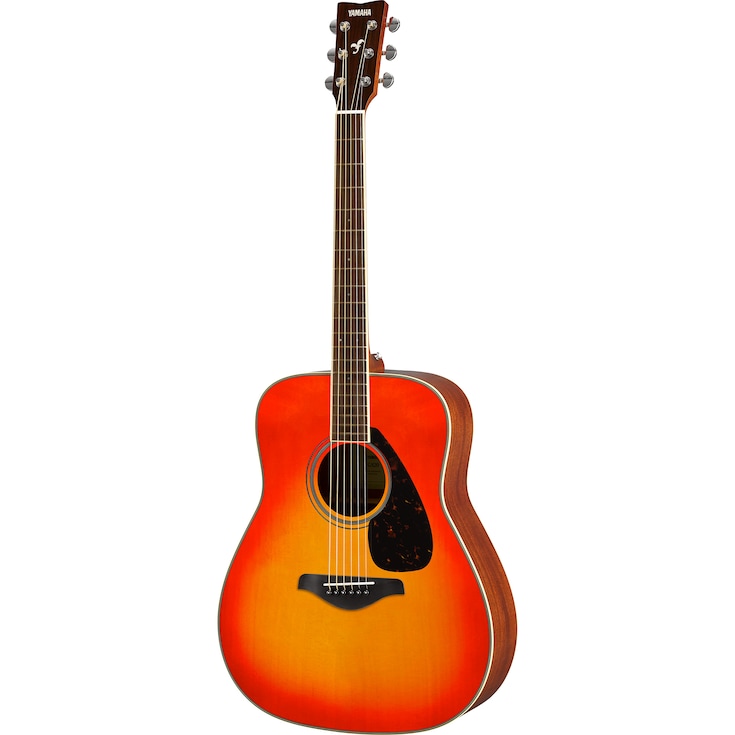 FG820 Autumn Burst Right Front