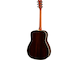 FG830 Autumn Burst Right Back