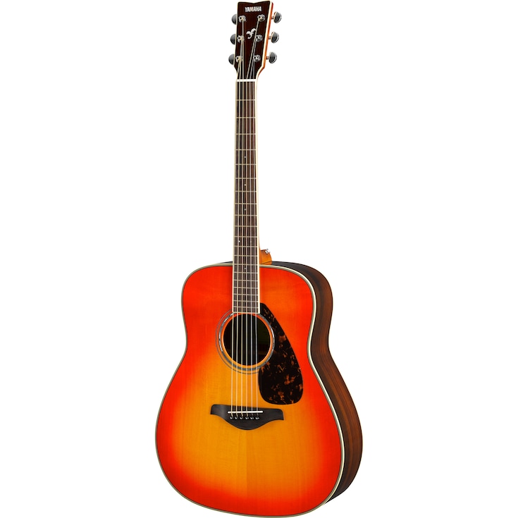 FG830 Autumn Burst Right Front