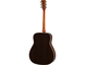 FG830 Natural Right Back