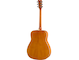 FG840 Back