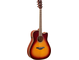 FGC-TA Brown Sunburst Left Front