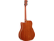 FGC-TA Brown Sunburst Left Back