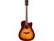 FGC-TA Brown Sunburst Straight Front