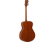 FS-TA Brown Sunburst Left Back