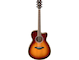 FSC-TA Brown Sunburst Straight Front