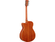 FSC-TA Vintage Tint Left Back