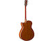 FSX820C Brown Sunburst Left Back
