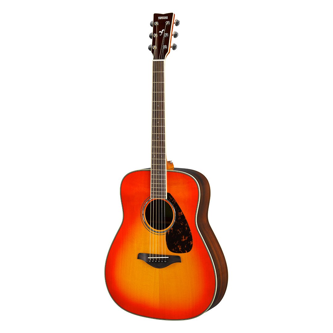 FG FS800 Downloads FG Series Acoustic Guitars Guitars